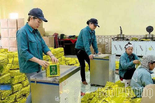 Cơ hội mở rộng 'cánh cửa' xuất khẩu cho doanh nghiệp Đất Tổ