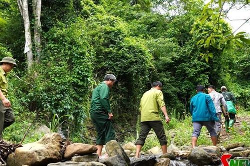 Mường Bang phát huy vai trò cộng đồng trong bảo vệ rừng