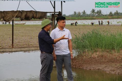 Gian nan hành trình tìm 'hộ chiếu' quốc tế cho hạt gạo ruộng rươi đất Cảng
