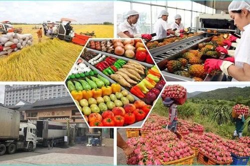 Kiểm soát dư lượng thuốc BVTV, nâng cao sức cạnh tranh nông sản xuất khẩu