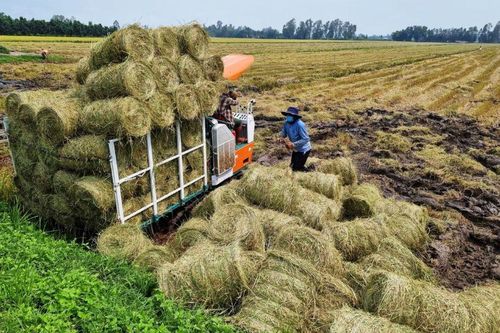 Từ nông nghiệp truyền thống sang nông nghiệp tuần hoàn: Thực trạng, thách thức và giải pháp