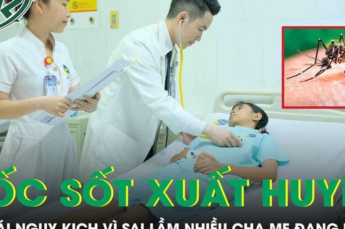 Bé gái 11 tuổi bất ngờ sốc sốt xuất huyết vì sai lầm của nhiều cha mẹ đang mắc