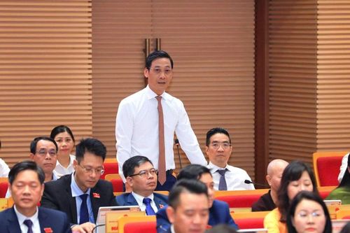 Hà Nội: Đại biểu trăn trở tình trạng 'rau hôm trước phun thuốc, hôm sau đã thu hoạch'