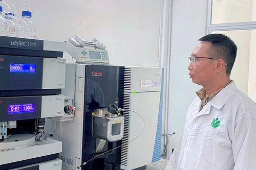 Ứng dụng AI đánh giá chất lượng nông sản