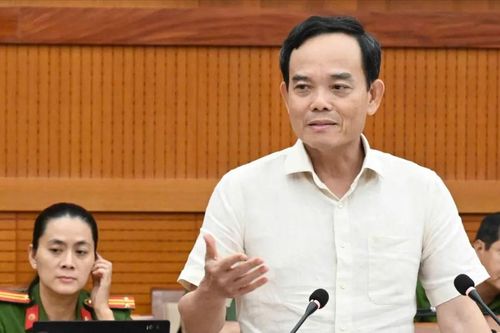 TPHCM tập trung hoàn thành cơ sở dữ liệu về đất đai phục vụ người dân