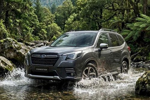 Cập nhật bảng giá xe hãng Subaru mới nhất tháng 7/2026