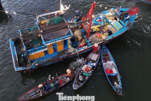 Theo chân ngư dân đến chợ nổi duy nhất ở Quảng Ngãi lúc 4 giờ sáng
