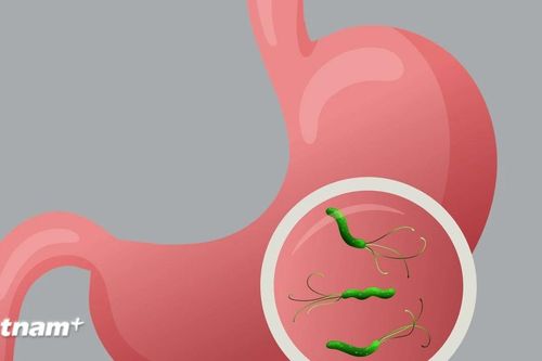 Phát hiện chủng probiotic mới giúp ức chế vi khuẩn HP gây bệnh dạ dày