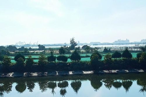 Trồng rừng ngập mặn kết hợp nuôi thủy sản