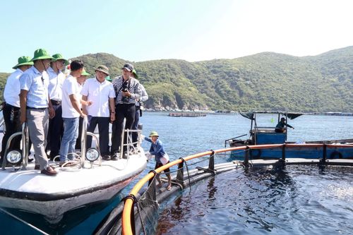 Tăng cường quản lý nuôi biển