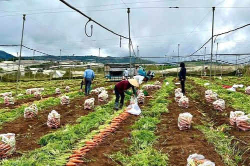Kiểm soát đồng bộ dư lượng thuốc bảo vệ thực vật