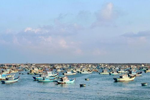 Nỗi lo thiếu lao động biển vụ cá nam