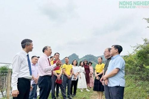 Nghệ An biểu dương điển hình nông dân sản xuất, kinh doanh giỏi, giai đoạn 2020 - 2025