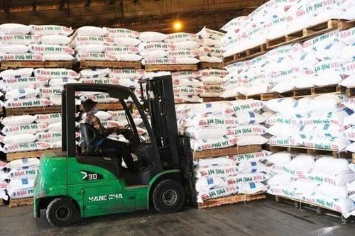 Nâng cao năng lực tự chủ, chuyển đổi xanh