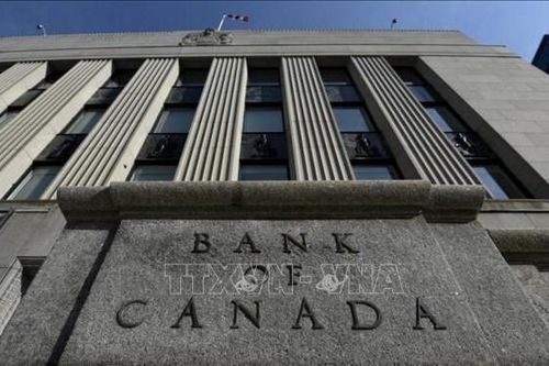 Lý do Ngân hàng Trung ương Canada giữ nguyên lãi suất lần thứ 6 liên tiếp