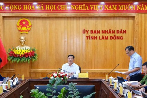 Lâm Đồng phân loại hơn 1,7 triệu thửa đất phục vụ xây dựng cơ sở dữ liệu đất đai
