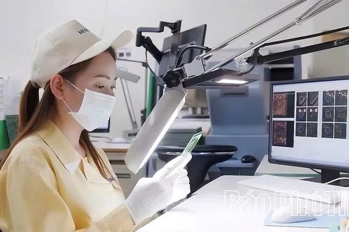 Phú Thọ: Từ vùng trung du đến chuỗi cung ứng toàn cầu