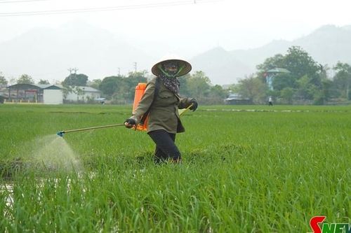 Giảm phát thải khí nhà kính trong sản xuất nông nghiệp
