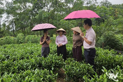 Biến nguồn vốn chính sách thành sinh kế lâu dài