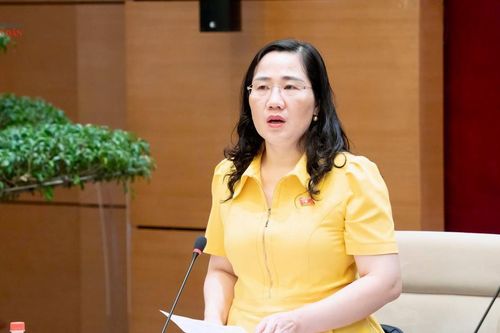 Thẩm tra sơ bộ dự án Bộ luật Tố tụng hình sự (sửa đổi)