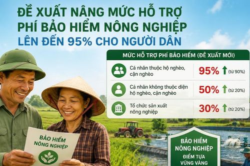 Đề xuất nâng mức hỗ trợ phí bảo hiểm nông nghiệp lên đến 95% cho người dân