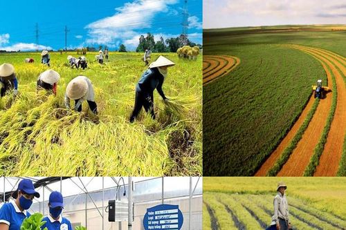 Hơn 8.300 tỷ đồng được phân bổ về 27 địa phương