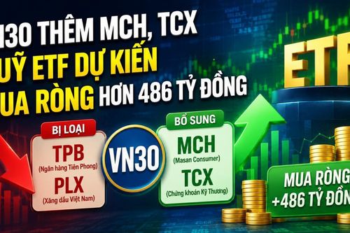 VN30 bổ sung MCH và TCX, dòng tiền ETF dự kiến mua ròng hơn 486 tỷ đồng