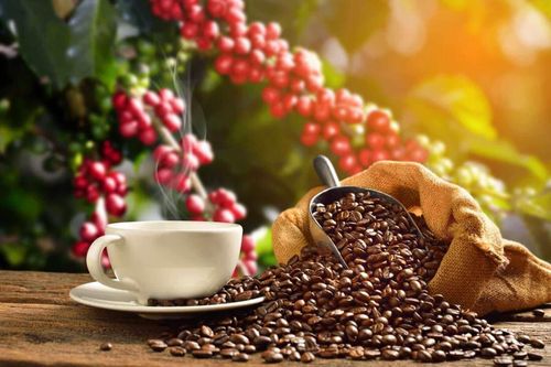 Giá cà phê hôm nay 16/7: Đồng loạt tăng