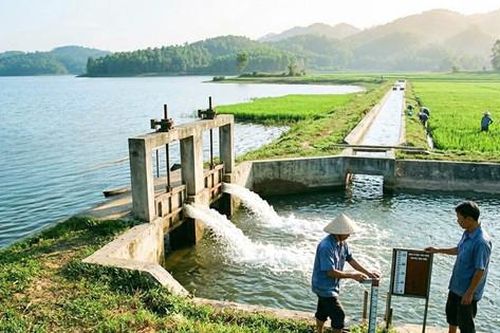 Hợp tác xã Đa Phúc đóng góp tích cực cho sản xuất nông nghiệp, phát triển kinh tế
