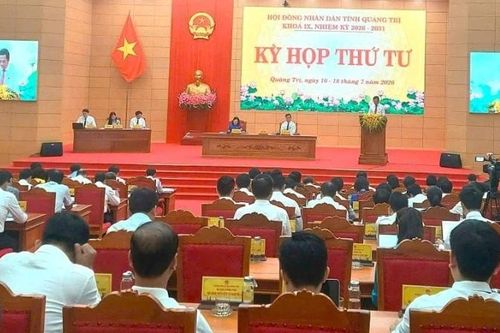 Quảng Trị ban hành chính sách hỗ trợ đầu tư trồng rừng sản xuất gỗ lớn