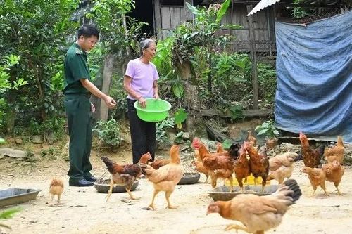 Nghệ An triển khai thực hiện chuẩn nghèo đa chiều quốc gia giai đoạn 2026-2030