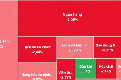[VIDEO] VN-Index lao dốc gần 30 điểm, phiên giảm sâu nhất ba tháng