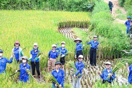 Sinh viên Bắc Ninh mang 'Mùa hè xanh' lên vùng biên giới