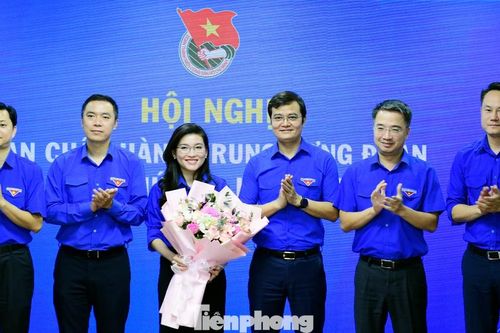 Thành lập Hội đồng Đội Trung ương khóa X, giai đoạn 2026 - 2031