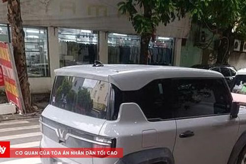 CSGT xử lý tài xế vi phạm đỗ xe trên vạch qua đường từ phản ánh của người dân