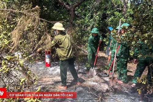 Khống chế nhanh vụ cháy rừng tại xã Phú Vinh