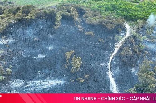 Khống chế thành công vụ cháy vùng tràm ở xã Thạch Khê