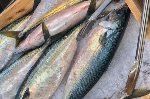 Mua cá thu, nhìn ngay 6 dấu hiệu để tránh cá ươn, cấp đông lâu ngày