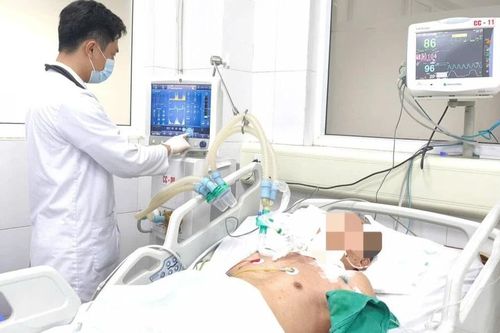 Bị gà mổ, cụ ông 94 tuổi suýt mất mạng