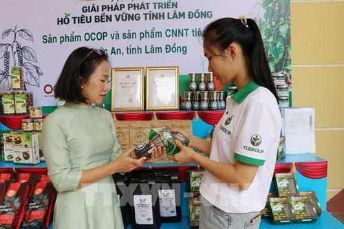 Hồ tiêu Việt Nam: Chuyển đổi chuỗi xanh để bứt phá xuất khẩu