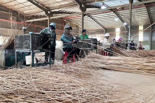 Tăng sức chống chịu cho doanh nghiệp:Xoay xở để tồn tại