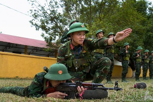 Trưởng thành từ thao trường