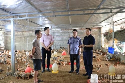 Khảo sát tình hình sử dụng vốn tại một số dự án vay từ Quỹ Hỗ trợ phát triển hợp tác xã