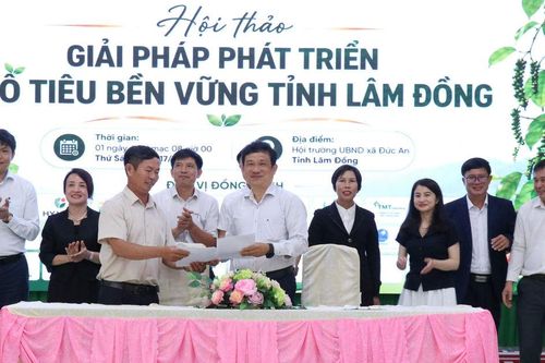 Lâm Đồng định hướng phát triển bền vững ngành hồ tiêu
