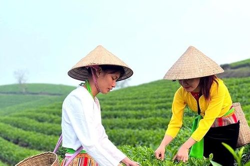 Mở lối du lịch xanh
