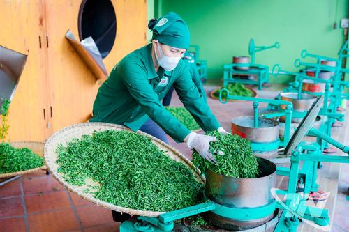 Động lực tăng trưởng từ nội lực