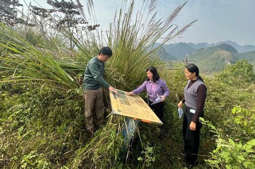 Đồn Pháp tại Lý Quốc - Di tích quân sự độc đáo trong vùng Công viên địa chất Non nước Cao Bằng