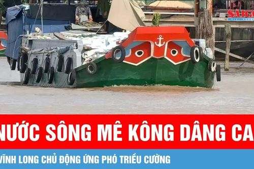 Nước sông Mê Kông dâng cao, Vĩnh Long chủ động ứng phó triều cường