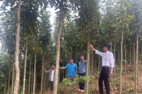 Nhà giáo giữ bình yên nơi cực Tây Tổ quốc