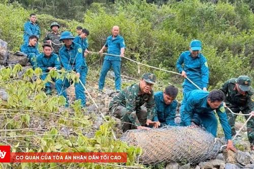 Phát hiện quả bom nặng 350 kg khi đào móng nhà